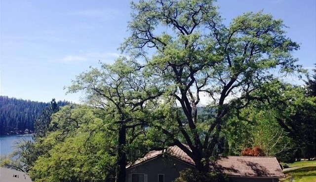 "Escape By The Lake" - Gated Resort With Lake Activities Near Yosemite