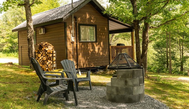 Escape in the heart of Miller Zoo | Sheira Shack