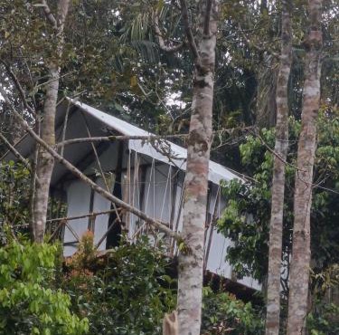 Escape Leuser Glamping