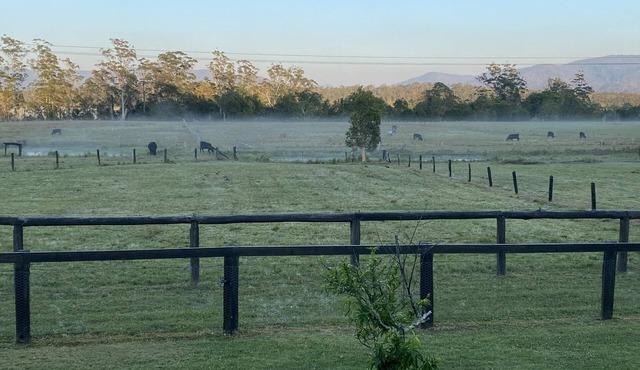 Escape on 50 acres on the Buladelah river. Accommodation for upto 10 people.