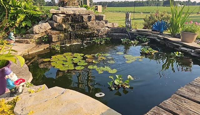 Escape The City At Greenly's Getaway