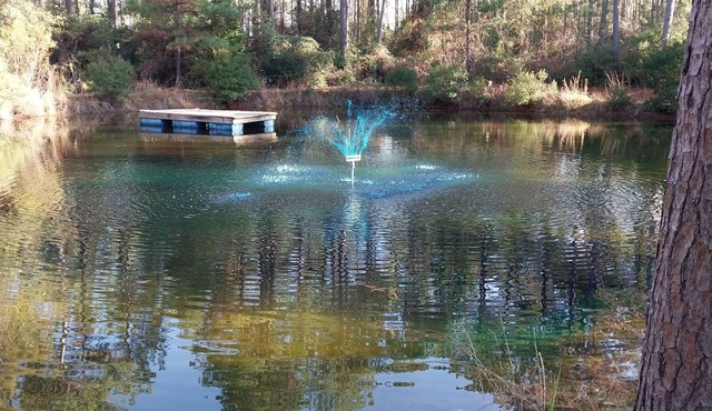 Escape the city life and relax in the piney woods of east Texas.