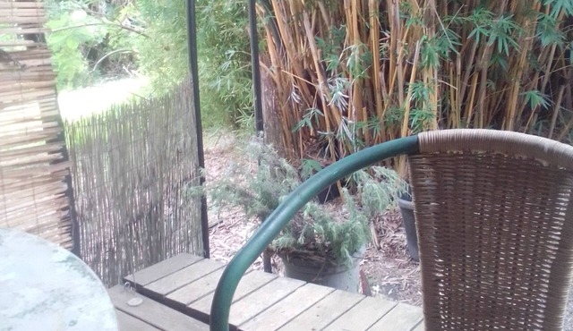 Escape to a beautiful, bushland setting in the rainforest. 5ks to village