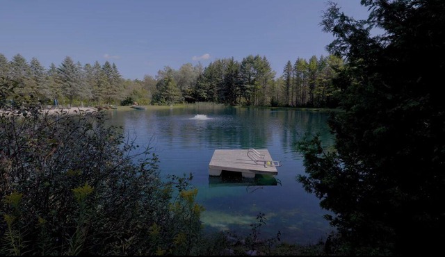 Escape to a Charming Treehouse Nestled on a Peaceful Estate in Clarington