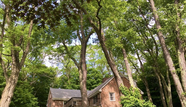 Escape to a modern rustic retreat in the heart of nature!