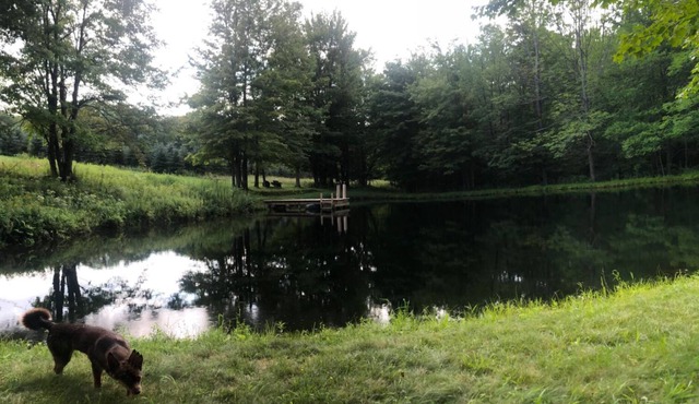 Escape to a Private land locked hideaway great for hunting/fishing and family.