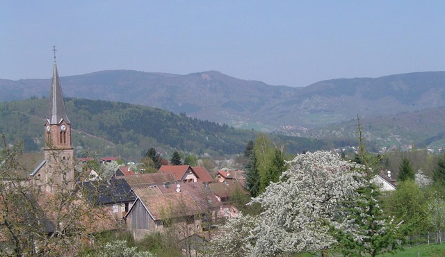 Escape to a Romantic Hideaway & Remote Work Haven in the Mountains, pet friendly