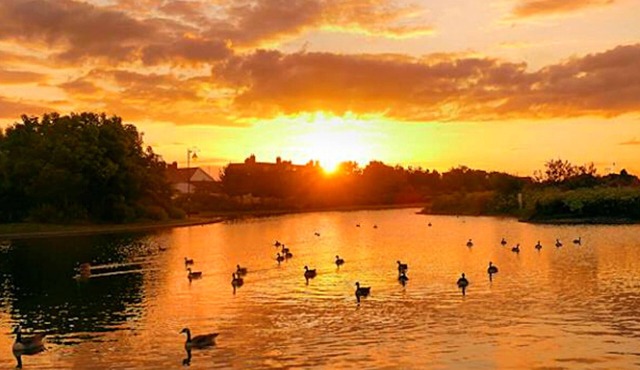 Escape to a Romantic Lakeside Cottage Heaven! Just 2 mins to Beach ❤️ Log Burner