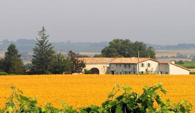 *Escape to breath-taking views and the gentle Charente-Maritime climate*