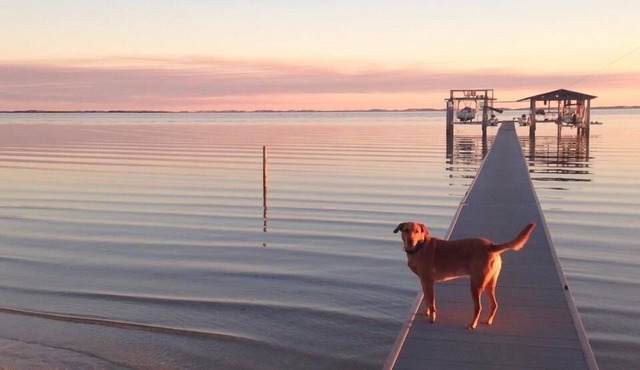 Escape to Gulf Beach Getaway! (Pet friendly)