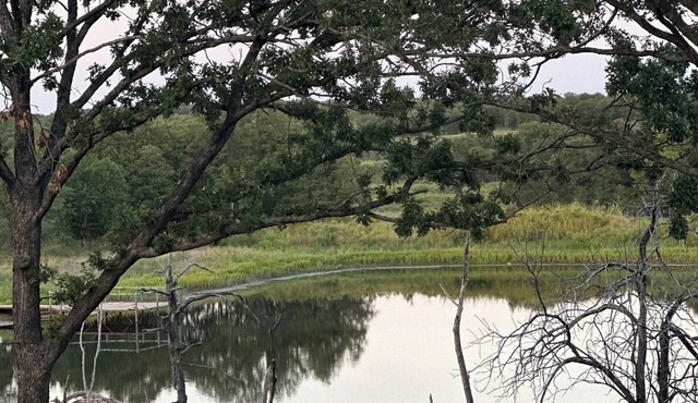 Escape to Little Oak Farm, a peaceful retreat in Fall River, KS.