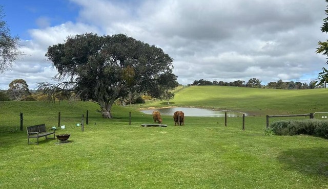 Escape to Luminous Pond Farm –Your Private Adelaide Hills Wine Country Sanctuary