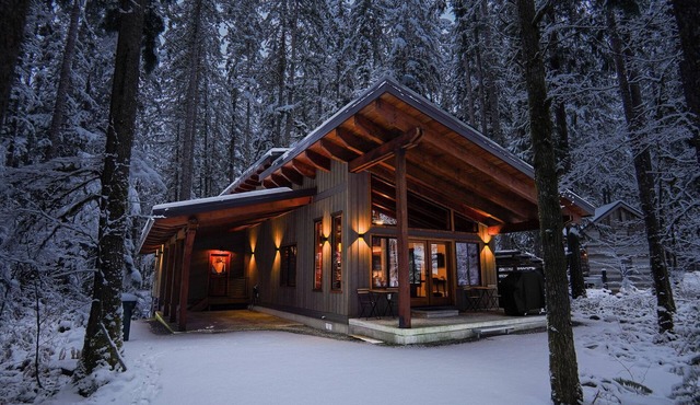 Escape to Luxury in the Woods: Hot Tub, EV Charger, & Fireplace!