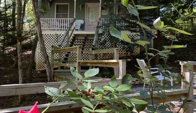 Escape to Pet-Friendly Studio Cabin near Helen, Blue Ridge & Appalachian Trail