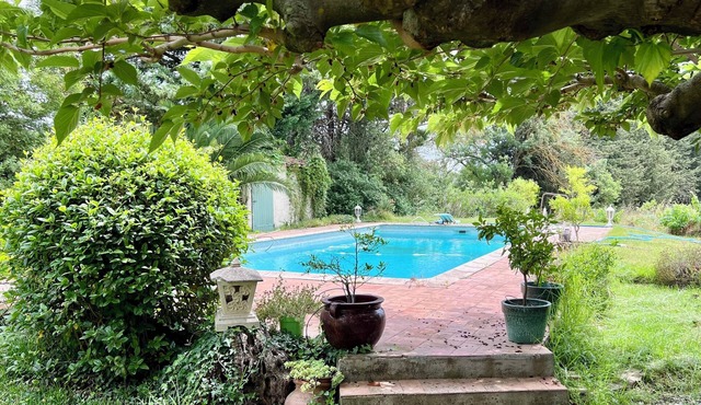 Escape to Provence: a charming cottage in the heart of olive groves