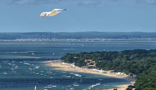 Escape to Pyla: Beach, Forest & Dune Retreat