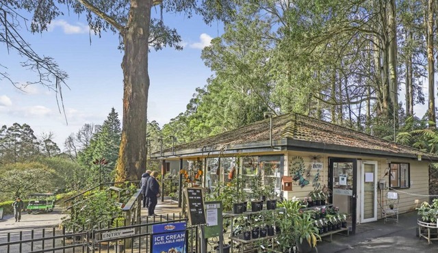 Escape to Serenity Your Perfect Studio Stay in Seville