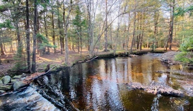 Escape to Serenity: Monthly Cottage Rental by the Stream in Pocono Lake!