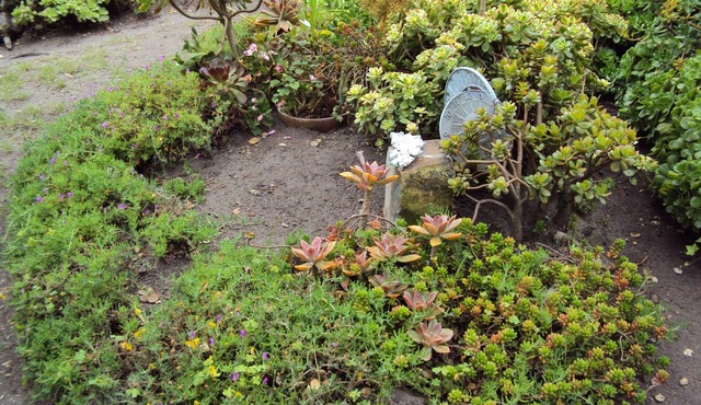 ESCAPE TO SERENITY & SAVE