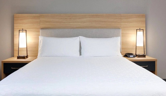 Escape to Sumptuous Studio Suite! Pets Allowed