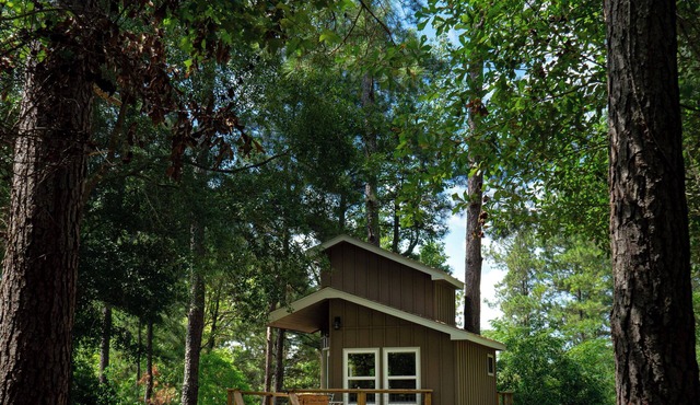 Escape to the Canopy: Enchanting Treehouse Retreat in the Heart of Nature