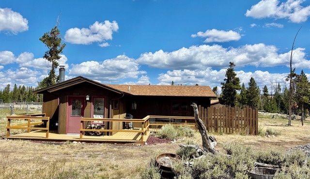 Escape to the Choosey Moose Cabin in the mountains of Dubois, WY