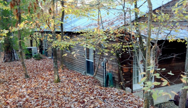 Escape to the peace and quiet of the forest. No planes, trains, highway noise