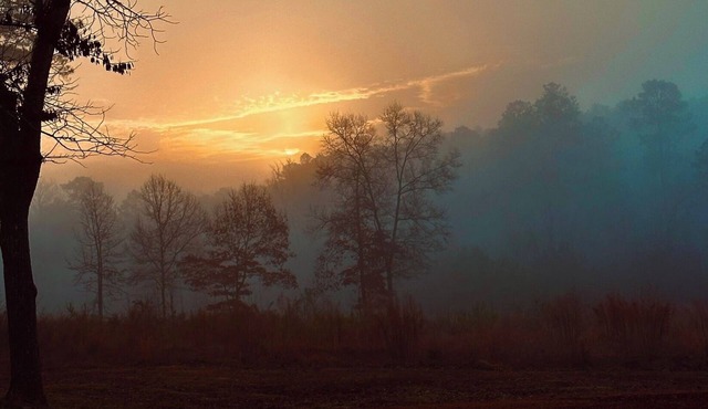 Escape to the peaceful Suttle Ridge in Arkadelphia, AR ~ 15 mins to Lake DeGray