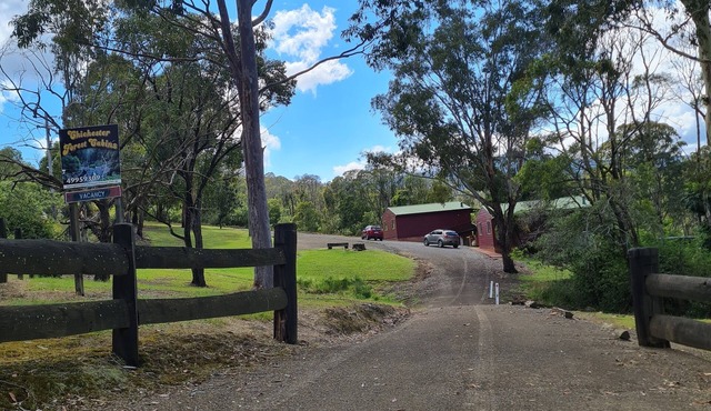 Escape to the wilderness at chichester forest cabins