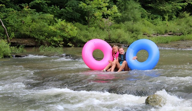 Escape to This cozy cabin surrounded by nature fire pit, hiking, fishing