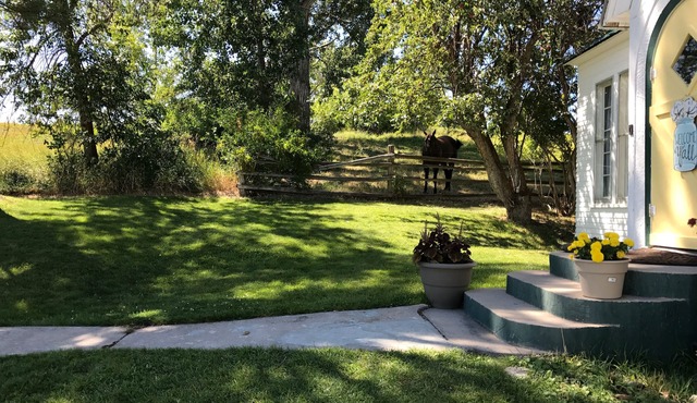 Escape to this newly renovated country cottage