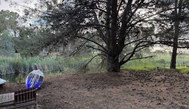 Escape to Tranquility: Homestay with a creek Awaits in the Adelaide Hills