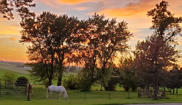 Escape to tranquility – your countryside haven, and at times with a horse or two