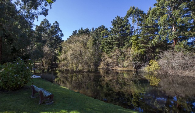 Escape to Valley View Nature Retreat – A Hidden Sanctuary in Apollo Bay