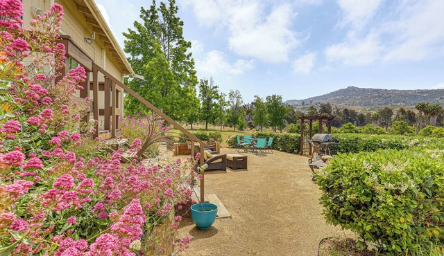 Escondido Vineyard Estate: Walk to Wineries!