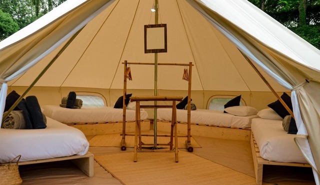 Espace Rambouillet parc forestier et animalier BIVOUAC Brame