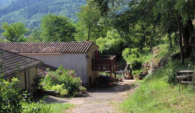 Esperança, bed and breakfast with natural pool, summer kitchen and library