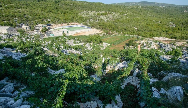 Estate Eko village Stanic