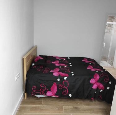 Estudio en Elche