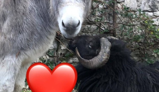 Etape Détente a la Campagne