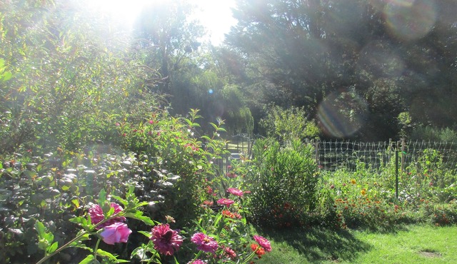 Etape Sologne, flexible accommodation