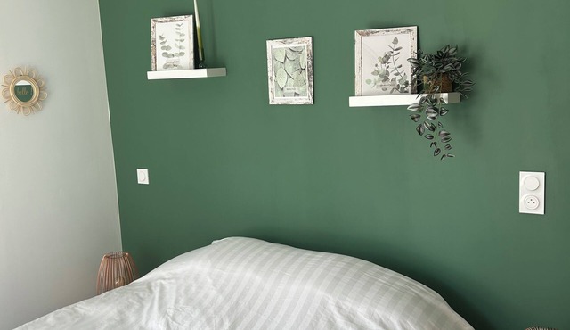 Eucalyptus 🌿 | Comfort and serenity in a new modern house