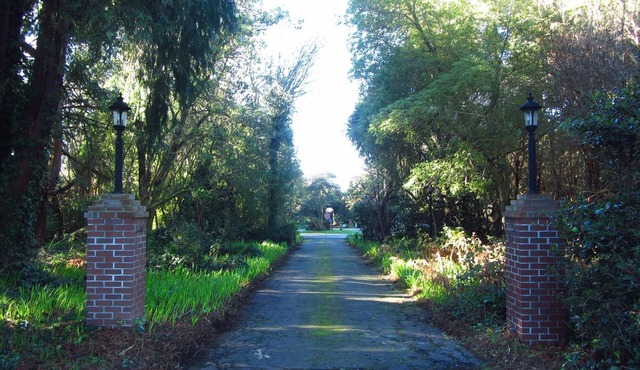 Eureka, Bay Views, Surrounded by Trees. Weddings, Retreats, Reunions, Events too