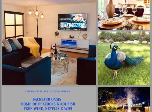 European Hideaway, Backyard Oasis, 10min to DT Denver