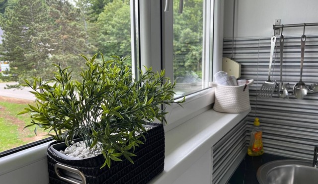 Eva Luxury Rooms & Apartments