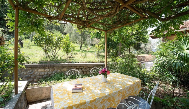 Evasion Céret - Appt champêtre proche centre-ville