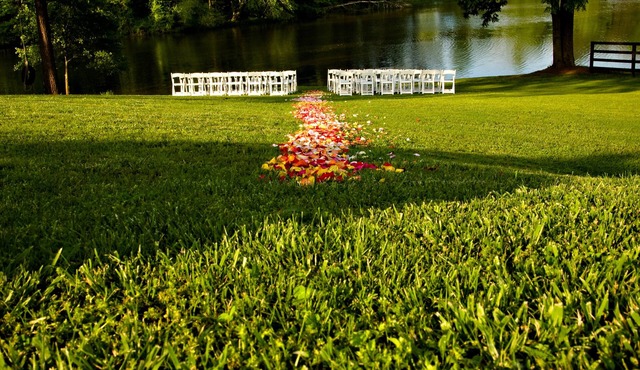 Events&Pets 👍 * Weddings* Retreats*Nature*Hot Tub w/central location!