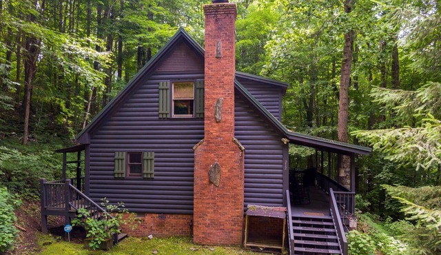 Evergreen Escape - Pet Friendly Forest Cabin with Hot Tub!