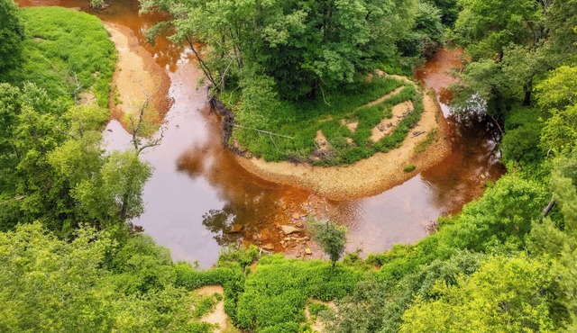 Evergreen Escape w/Hot Tub & Views + Fire Pit