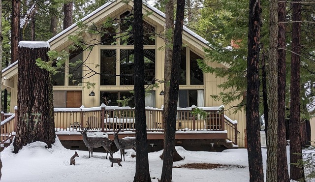 Evergreen Pinecone Cottage Hot Tub Firepit, Espresso, Couples Love It!